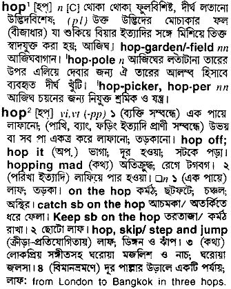 hopping meaning in bengali|Hop Meaning In Bengali .